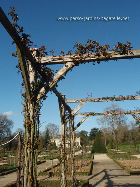 pergola