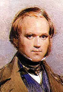 Portrait de Darwin jeune