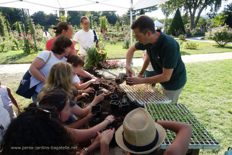 rempotage en cours!  Des enfants attentifs  , les mains dans la terre.