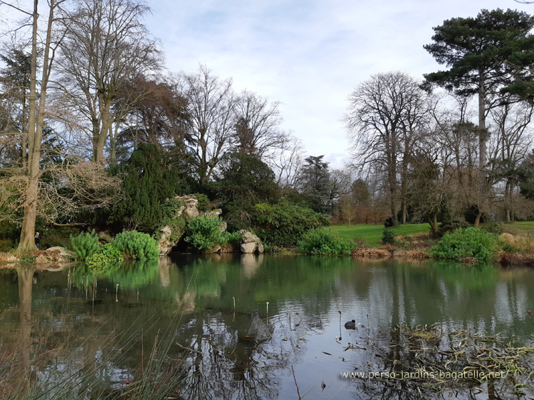 pond , coot and grotto