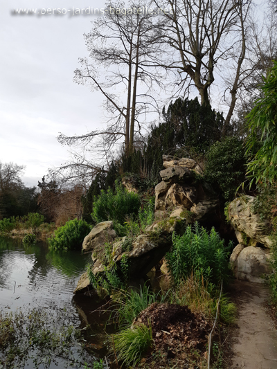 euphorbes devant la grotte