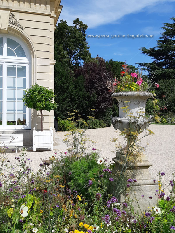 Parterre de l'orangerie, vase et oranger