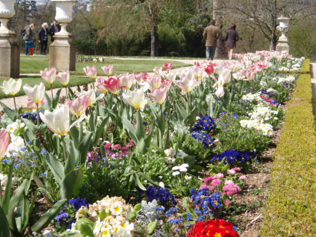 parterre francais avril 2016