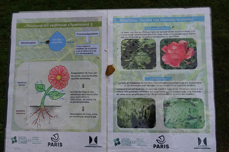 information panels about plant biology