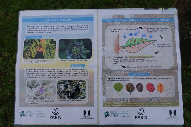 information panels about plant biology