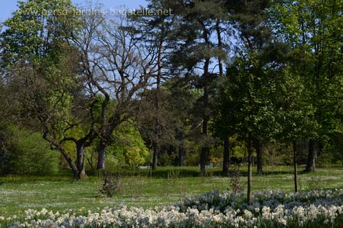 Bagatelle au printemps