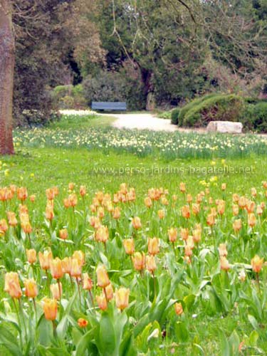 printemps à Bagatelle