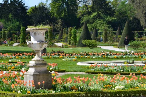 la roseraie vue du parterre de l'Orangerie