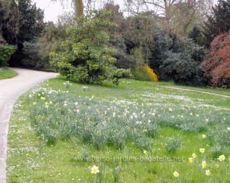 printemps à Bagatelle