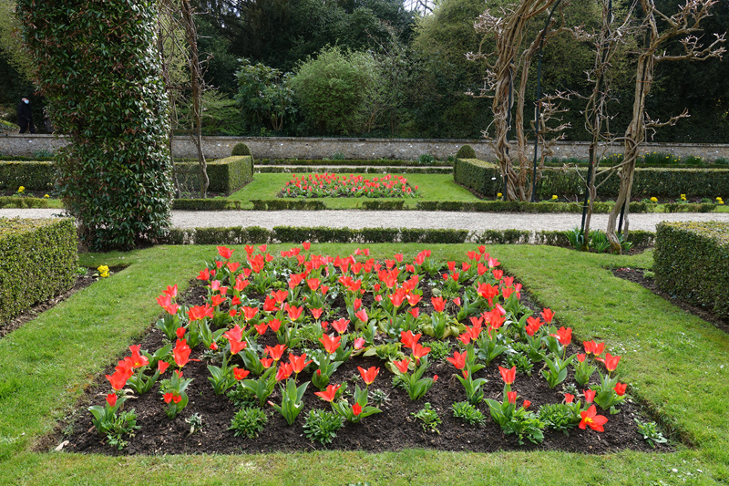 parterre de tulipes rouges dans le  jardin des présentateurs