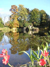 Bassin des nymphéas en automne