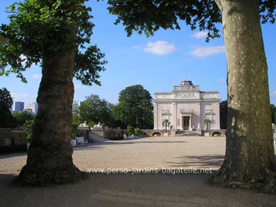 Platane commun - Platanus x acerifolia - à droite