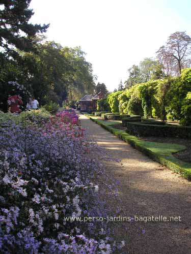 La collection d'asters des Jardins de Bagatelle