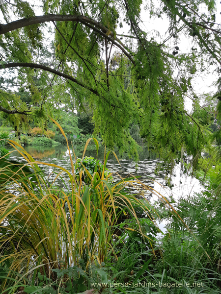 au bord de la pièce d'eau , feuillages encore verts