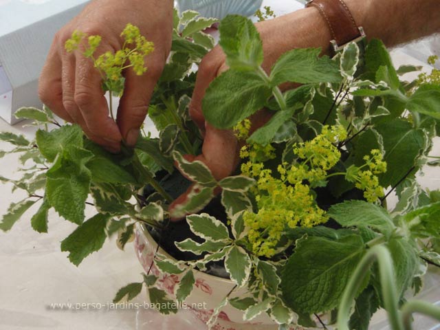 on plante la verdure