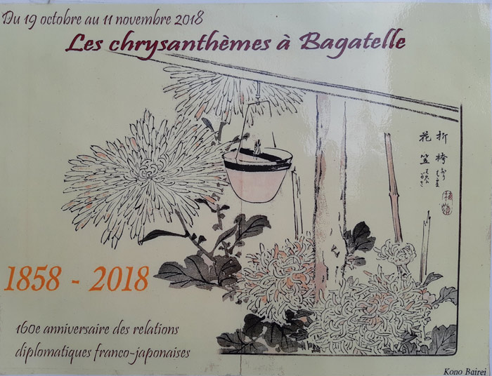 Chrysanthèmes à Bagatelle 2018 Japon