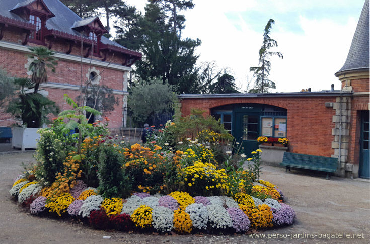 Massif de chrysanthèmes à l'entrée côté grille de Sèvres