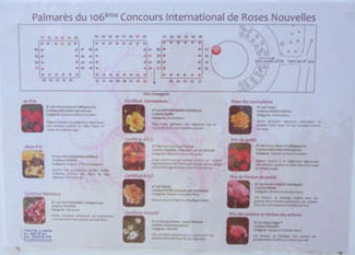 Plan des rosiers du concours, dans la roseraie