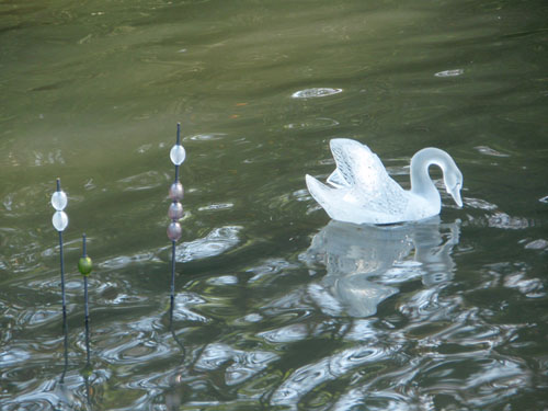 Cygne et joncs de cristal