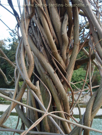 Branches au Jardin des présentateurs