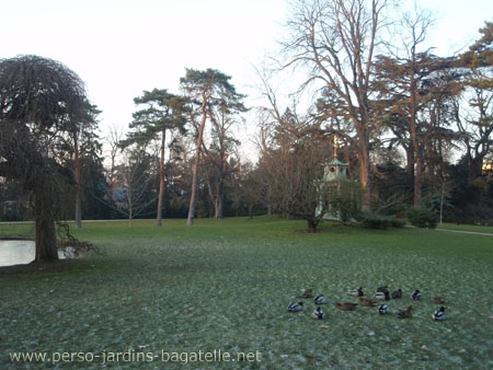 Canards près du kiosque chinois et du miroir japonais