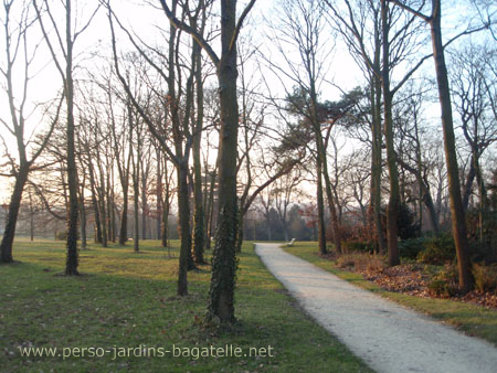 Forêt de Chênes