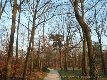 Forêt de Chênes