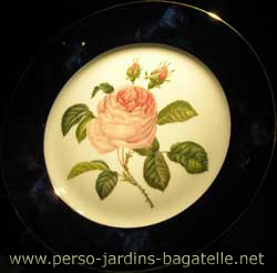 Assiette plate,  d'après une illustration de Pierre-Joseph Redouté