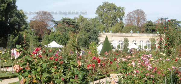 Orangerie, roseraie et stands  la fte des jardins 2013