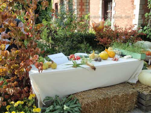Le potager : table dresse de fruits et lgumes de saison