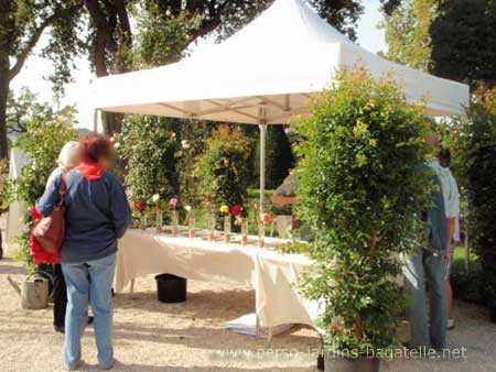 Stands du concours de roses