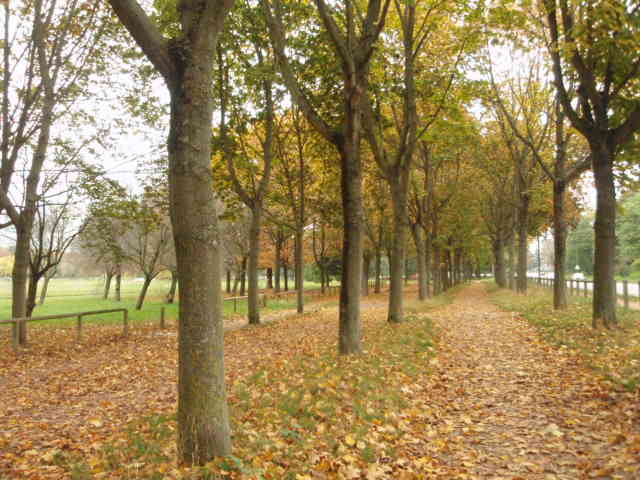 route de sevres à neuilly,  côté trrains de sport