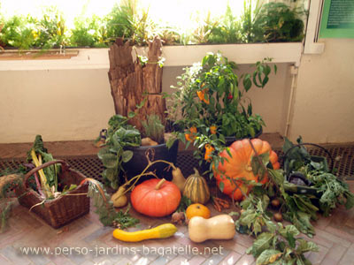 Composition de légumes dans l'orangerie - la fête des jardins 2009