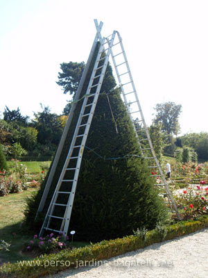 échelle et guide de coupe