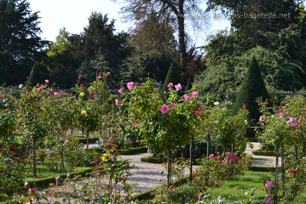 Roseraie lors de la fte des jardins