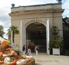 Pile de citrouilles et orangerie portes ouvertes