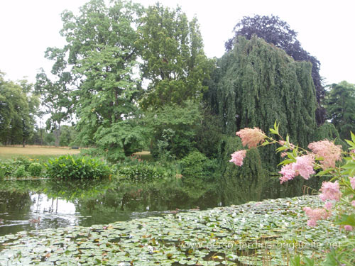 La pièce d'eau des nymphéas en juillet