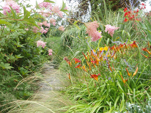 Chemin bordé de fleurs