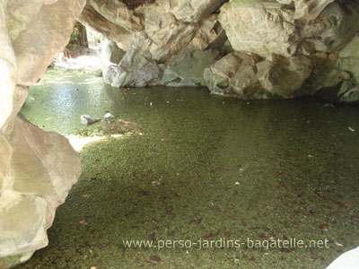 grotte envahie de lentilles d'eau, autre vue