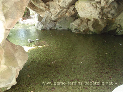 l'invasion des lentilles d'eau  2