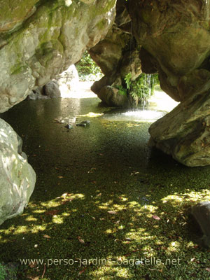 grotte envahie de lentilles d'eau