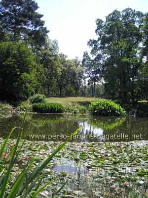 Pice d'eau des nymphas