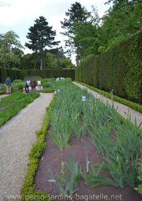 jardin des iris, fin avril