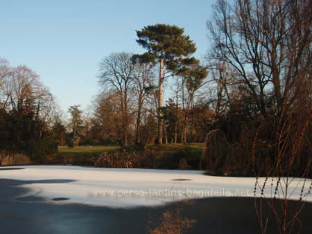 Bassin des nymphéas  gelé