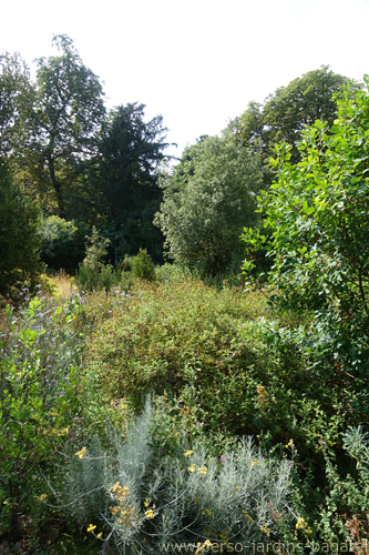 vue du Jardin méditerranéen et de sa végétation