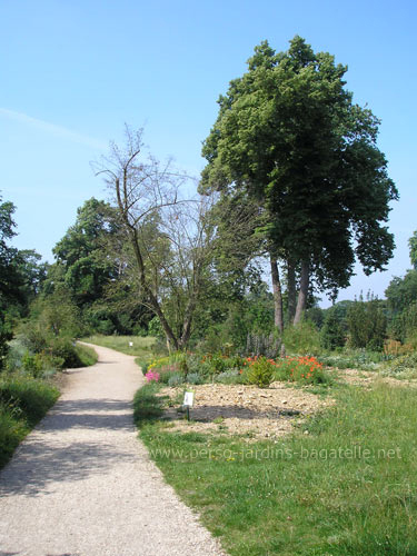 Jardin méditerranéen fleuri