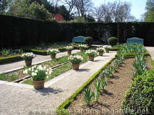 Jardin des iris début avril