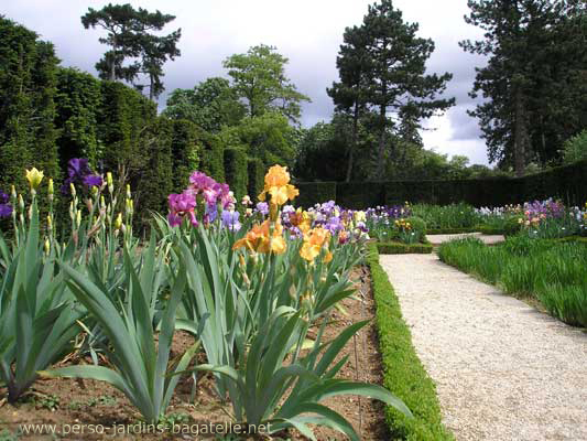 Jardin des iris