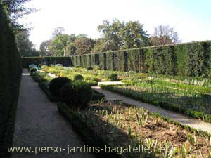 Jardin des iris en automne