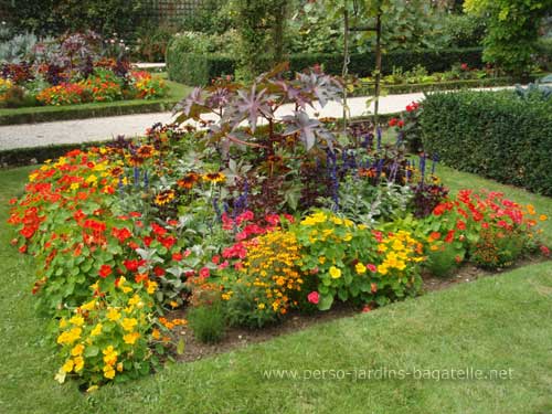 Parterre orangé